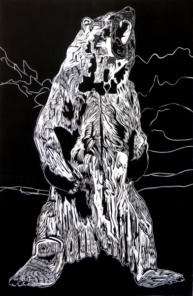 Black bear, Roar, bear, wilderness animal,