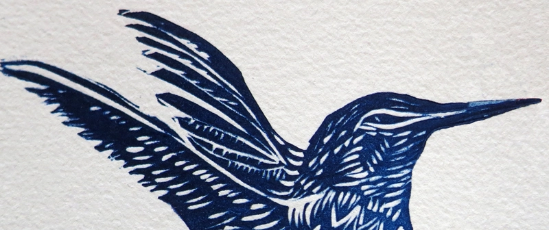 Hummingbird detail