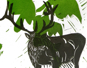 elk_detail