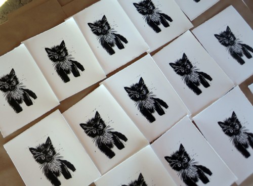 Table of feral kittens