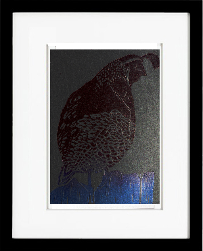 framed_quail