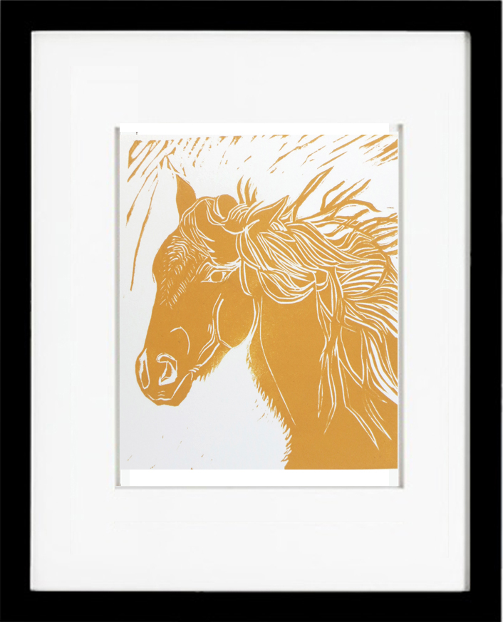 palamino, Michael Martin Murphey, wild horse, horse head