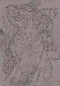 Drawing of Shadow, reversed on the block