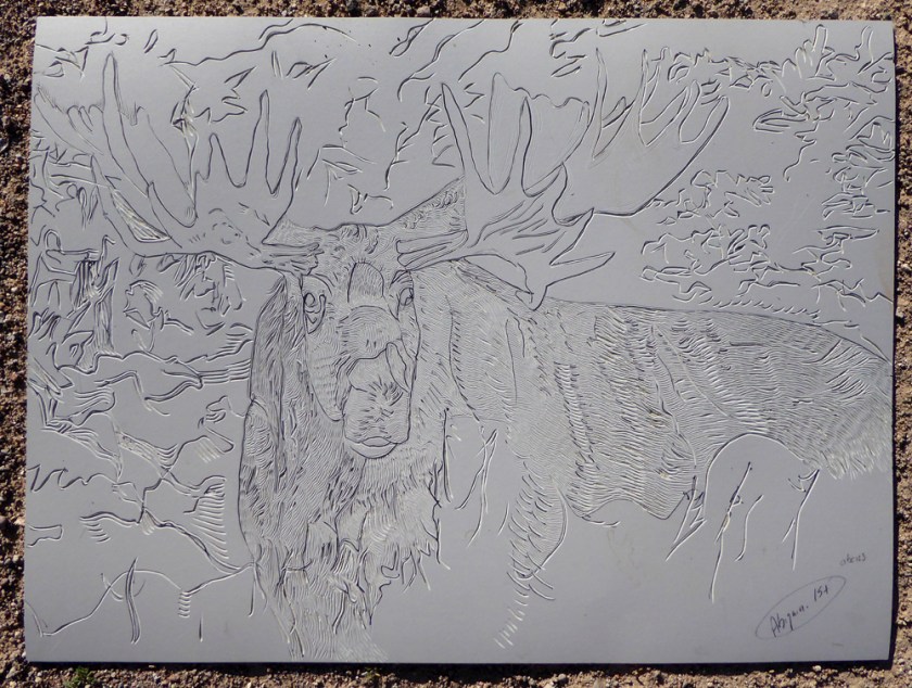 24" x 18" Moose Linocut