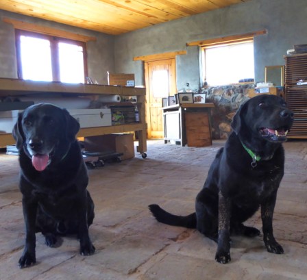 14_hilary_lorenz_open_studio