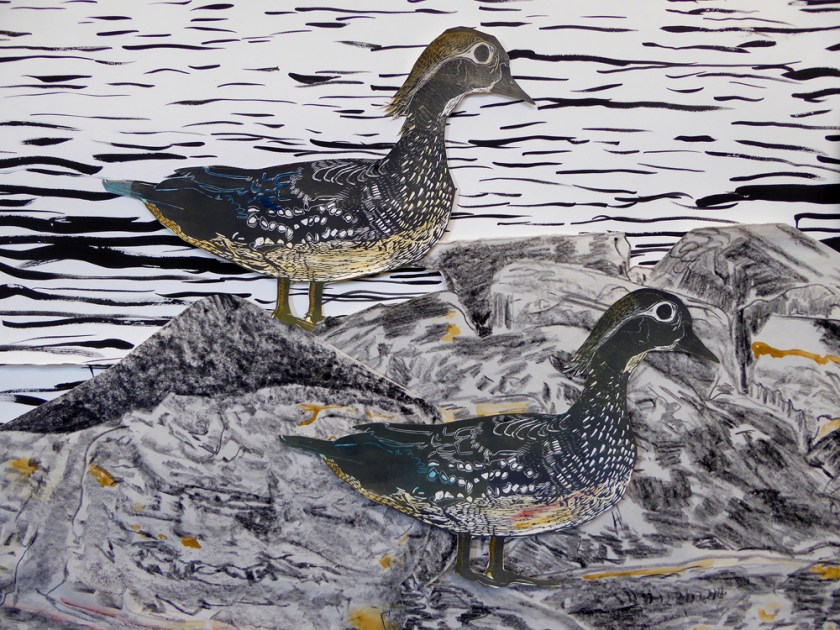 lorenz_hilary_wood-duck_email