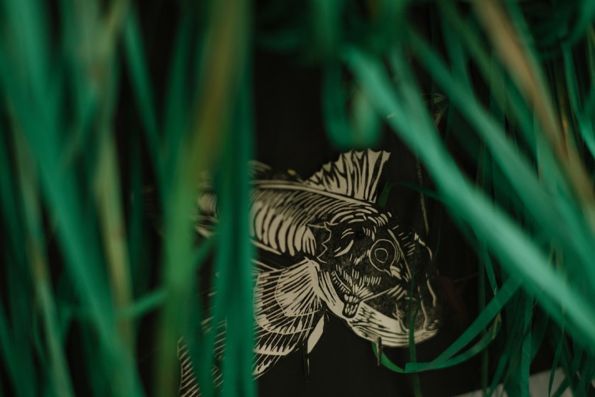 hilarylorenz_birding_033