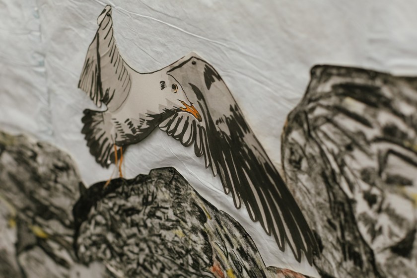 hilarylorenz_birding_111