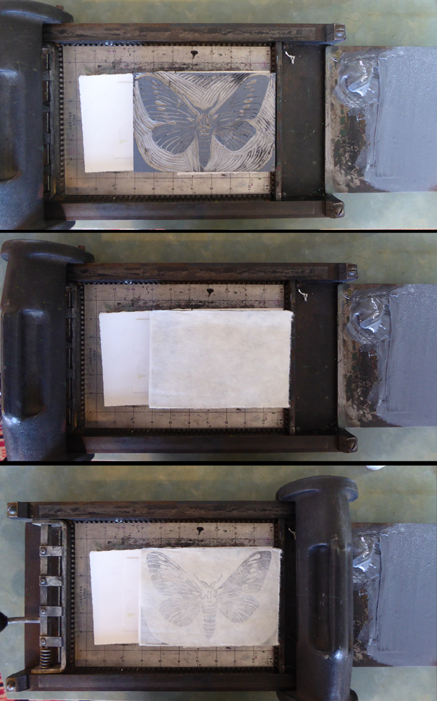 press_views_hilary_lorenz