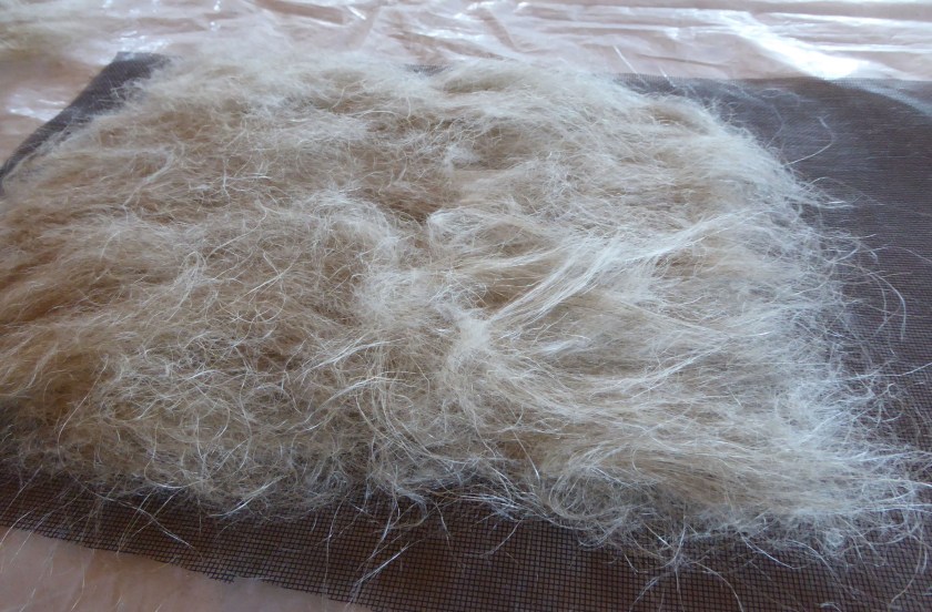 combed_flax_Hilary_Lorenz