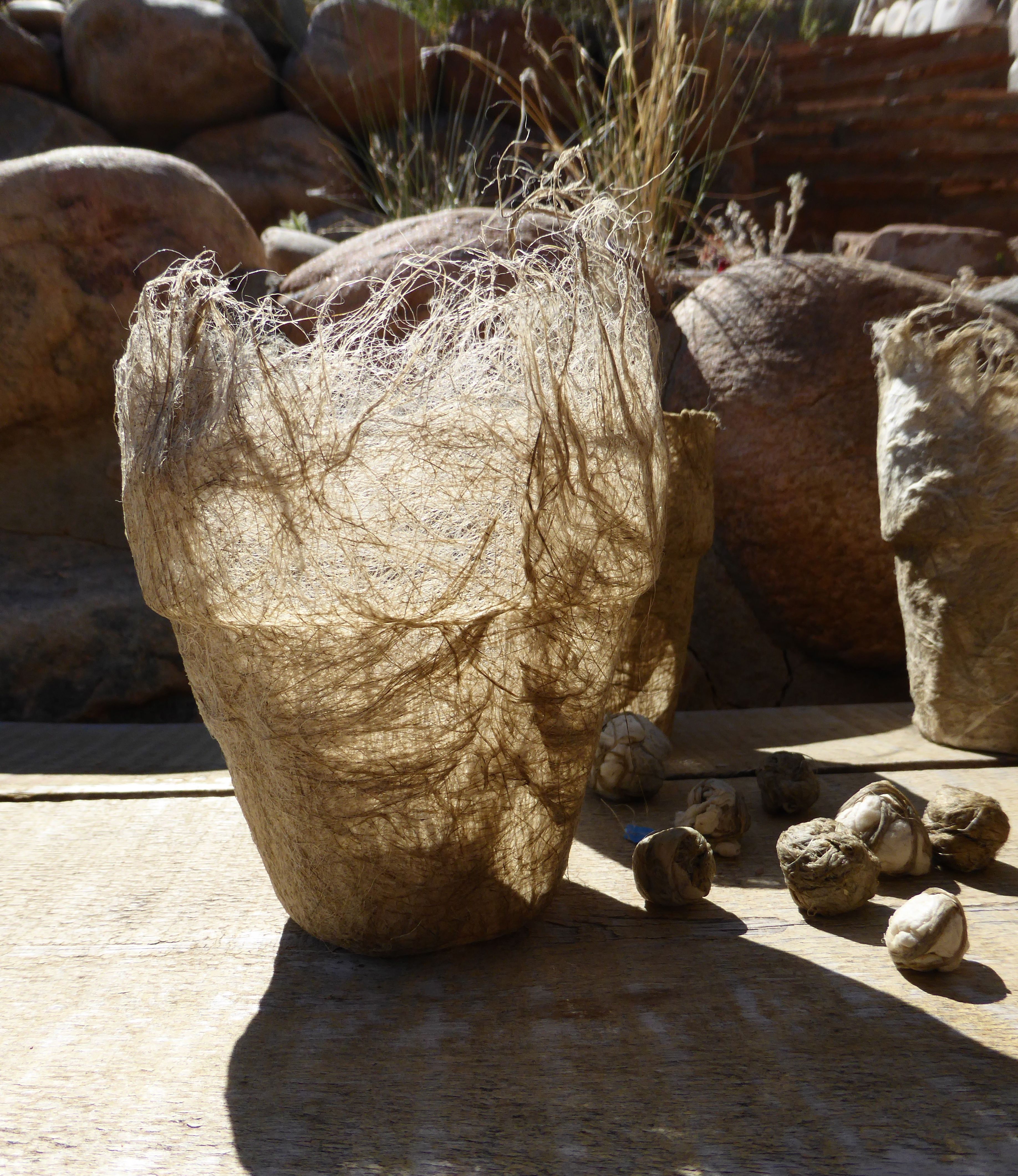 Flax_pot_Hilary_Lorenz