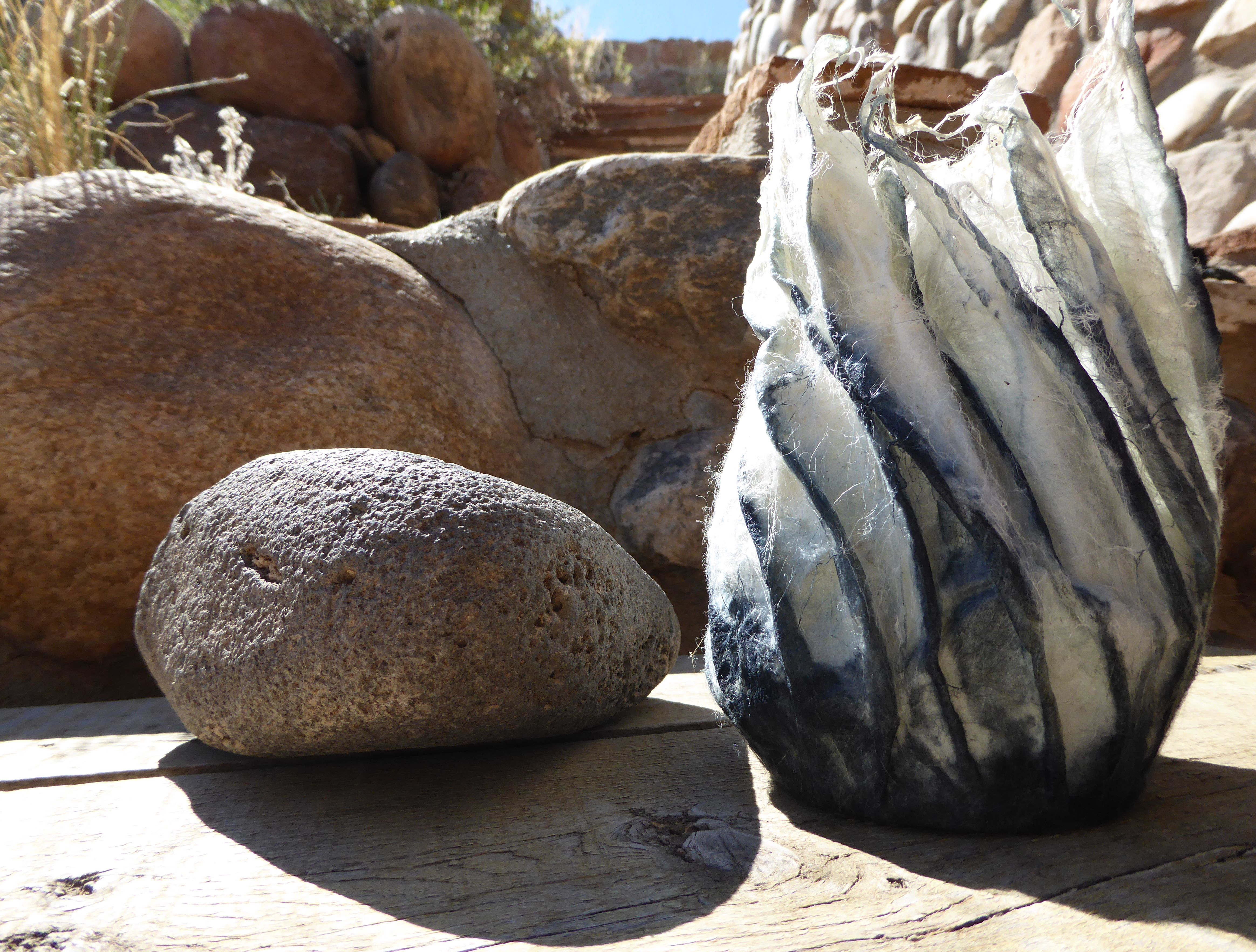 Indigo_blue_hilary_Lorenz