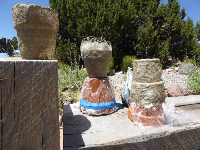 post_drying_HIlary_LOrenz