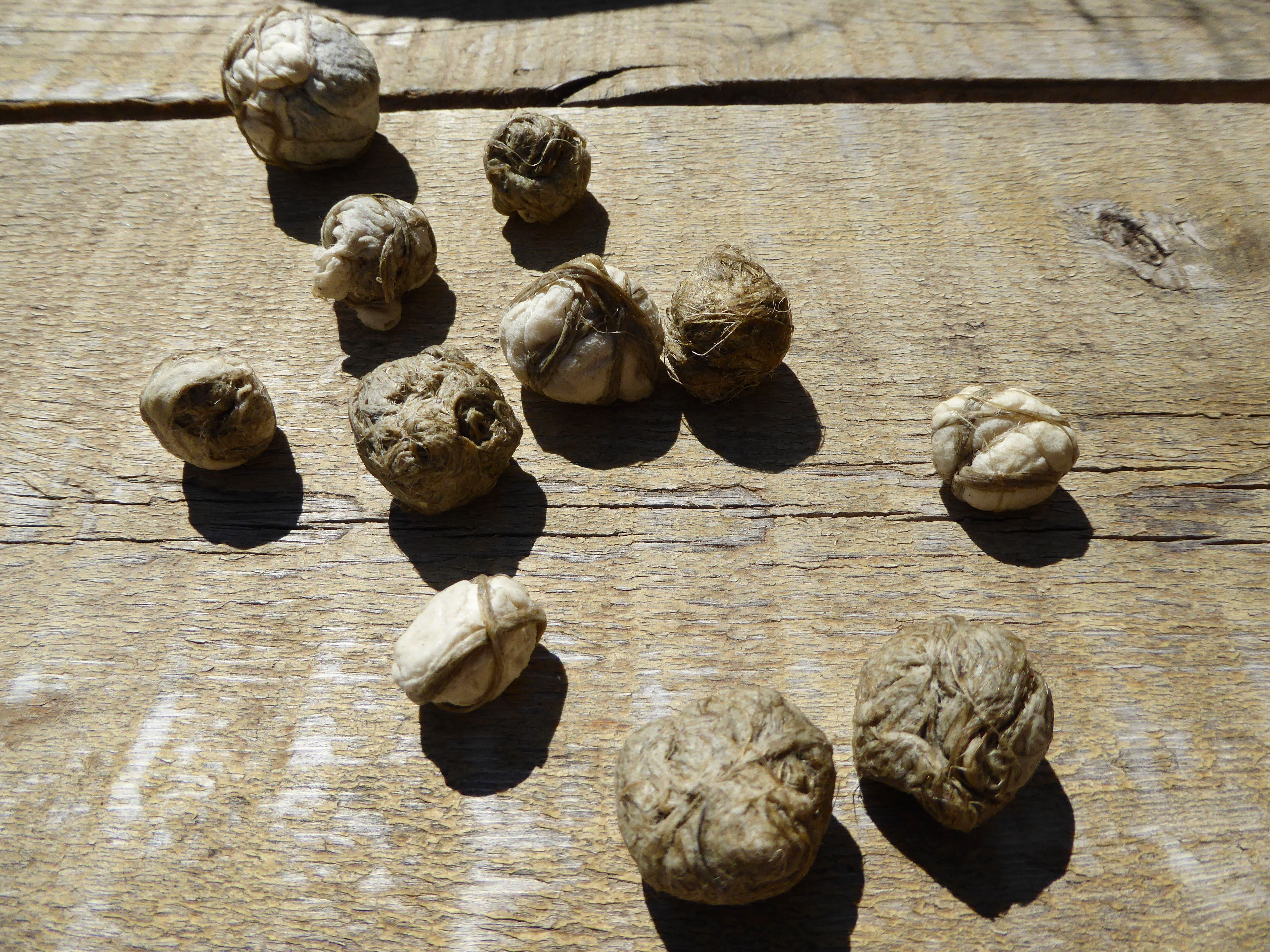 wrapped_paper_Hilary_Lorenz