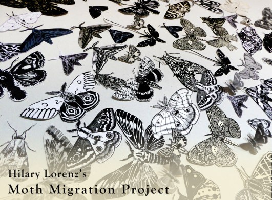 sm_Moth_Migratiton_Lorenz_3.jpg