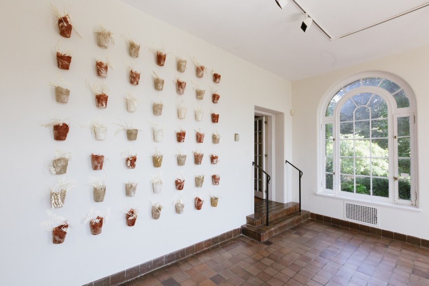 20170925_HilaryLorenz_WaveHill_0052