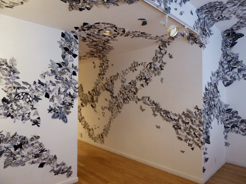 4_Moth_migration_project