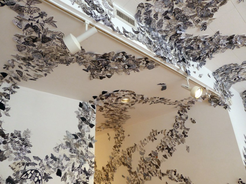 5_Moth_MIgration_Project