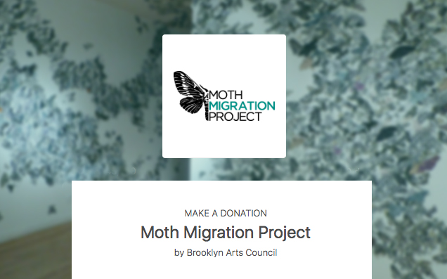 Moth_Migration_Donate