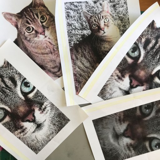 77913D75-EA8D-46EE-B56C-D57081669ED5